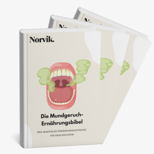 Der praktische Ernährungsleitfaden für frischen Atem | E-Book